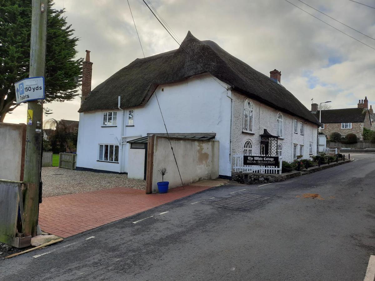 The White Cottage Colyton Exterior photo