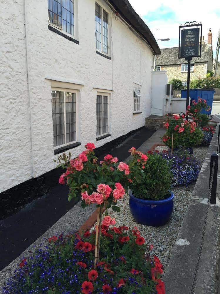 The White Cottage Colyton Exterior photo